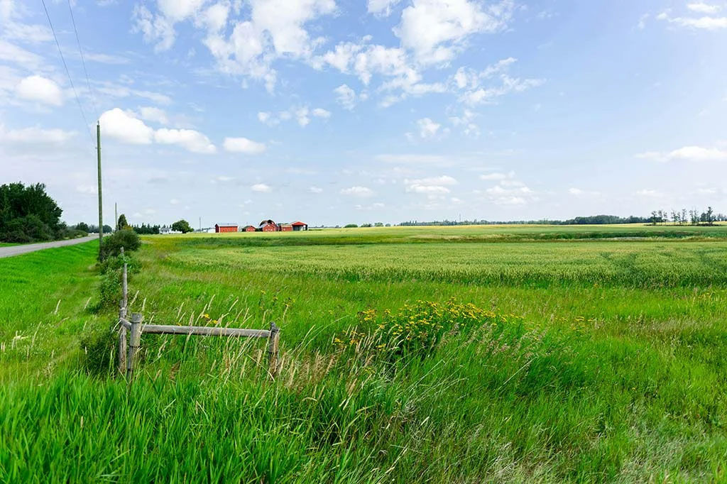 Agriculture Land Available for Sale in Hodal