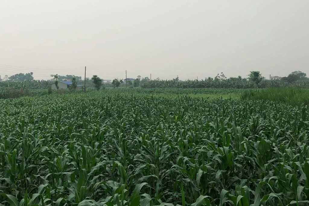 Agriculture Land Available for Sale near Faridabad