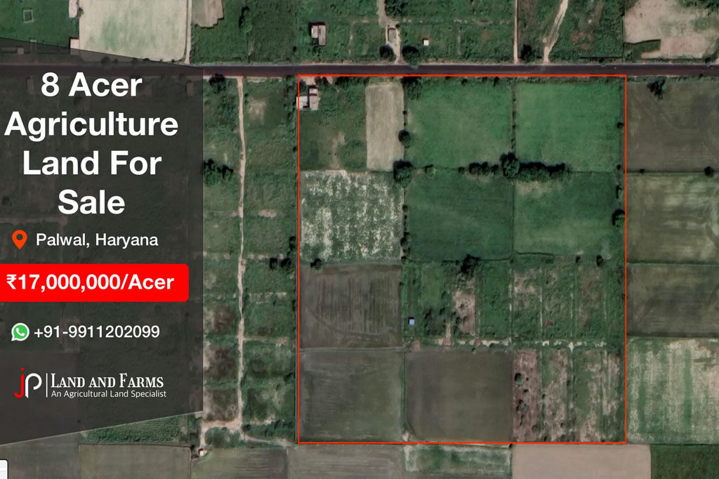 8 Acre Agriculture Land for Sale near Palwal