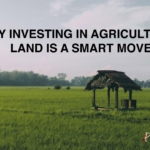5 Reasons Why Investing in Agricultural Land is a Smart Move in 2024