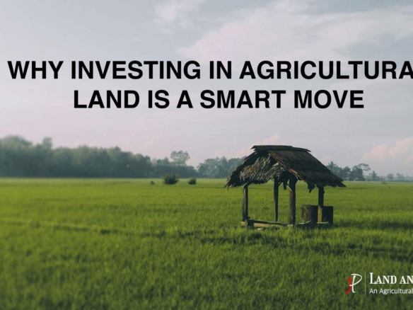 Why Investing in Agricultural Land
