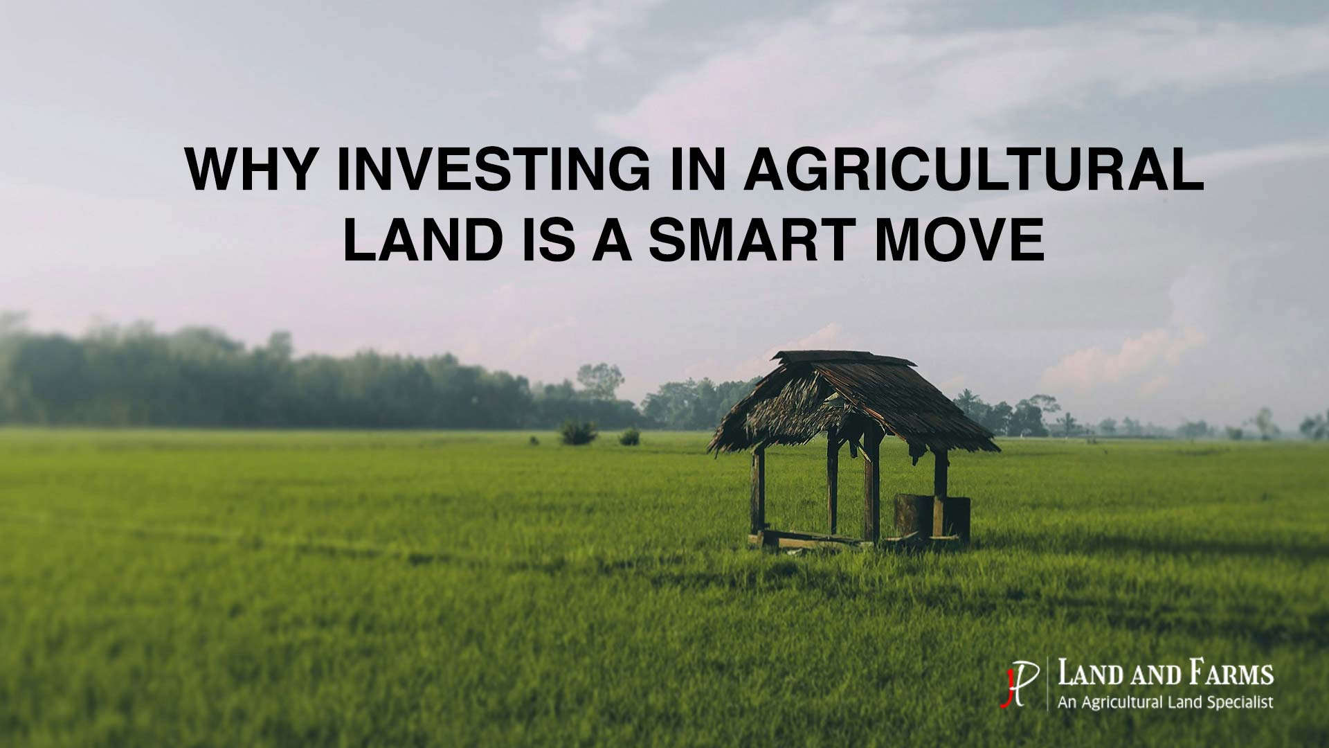 Investing in Agricultural Land