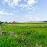 Agriculture Land Available For Sale In Hodal